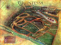 Napa 谷最新大規模特別設計的Quintessa 葡萄園酒莊，占地二百八十畝，包括二十畝大的天龍湖，這是它的全面地圖。